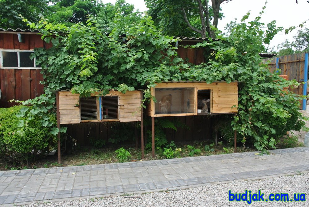 Пансионат отдыха Fortuna на курорте Лебедевка. Фото N 7271. 2016 год